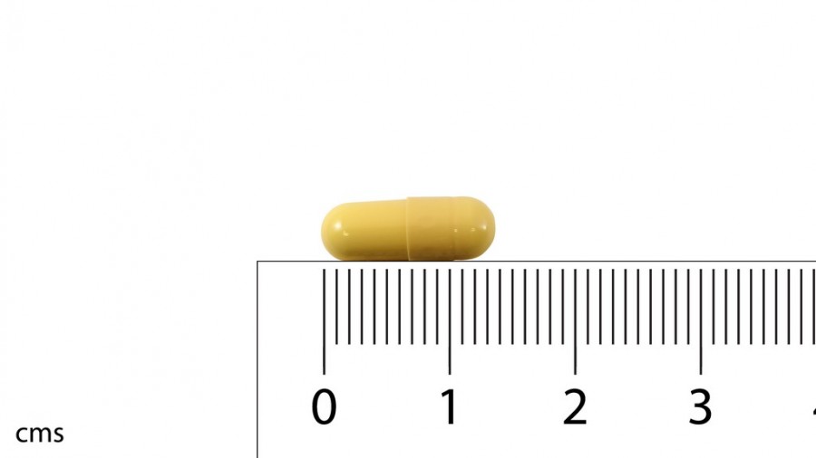 ADOLONTA 50 mg CAPSULAS DURAS , 20 cápsulas fotografía de la forma farmacéutica.