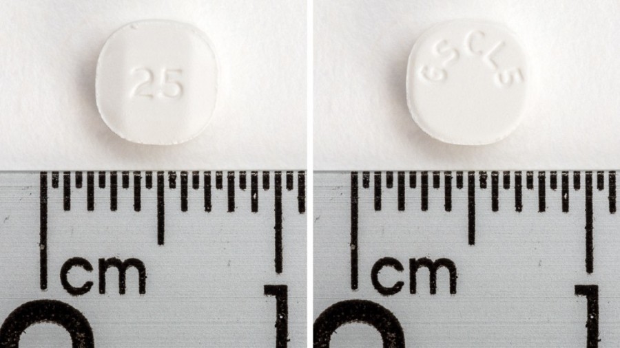 LAMICTAL 25 mg COMPRIMIDOS MASTICABLES/DISPERSABLES , 21 comprimidos fotografía de la forma farmacéutica.