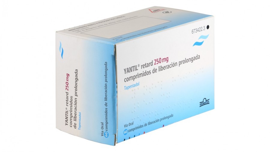 YANTIL RETARD 250 mg COMPRIMIDOS DE LIBERACION PROLONGADA , 60 comprimidos fotografía del envase.