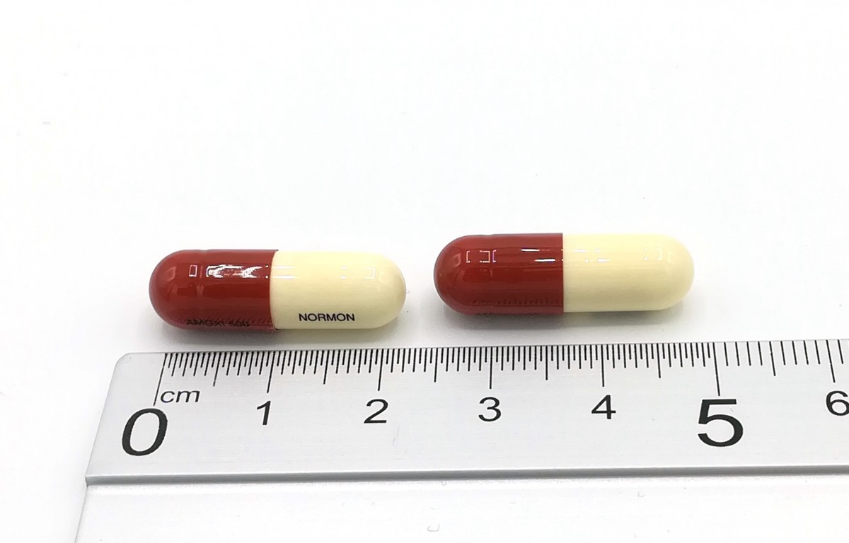 AMOXICILINA NORMON 500 MG CÁPSULAS DURAS EFG  , 12 cápsulas fotografía de la forma farmacéutica.