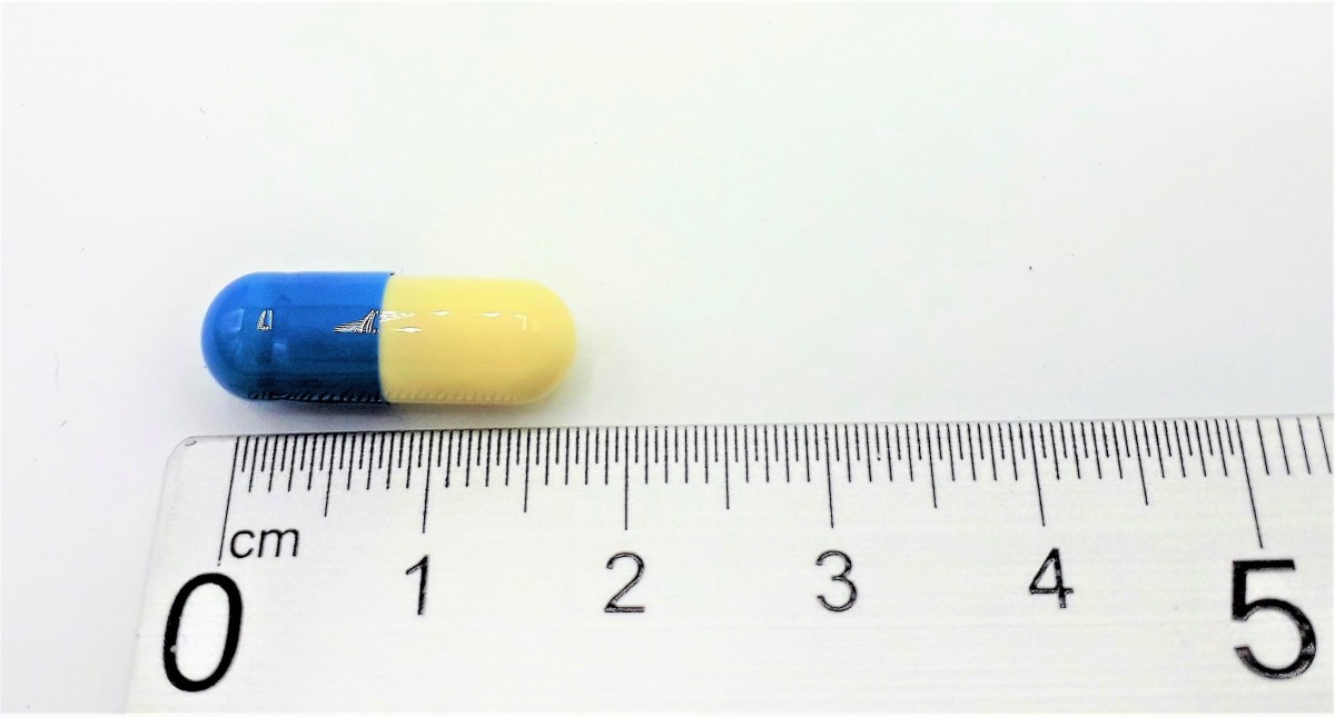 DULOXETINA NORMON 60 MG CAPSULAS DURAS GASTRORRESISTENTES EFG, 56 cápsulas (PVDC/PE) fotografía de la forma farmacéutica.