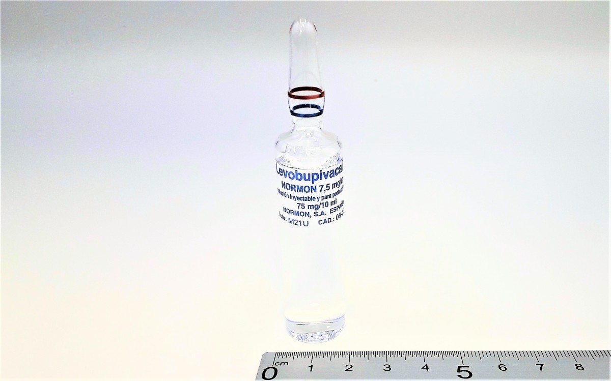 LEVOBUPIVACAINA NORMON 7,5 MG/ML SOLUCION INYECTABLE Y PARA PERFUSION EFG , 10 ampollas de 10 ml fotografía de la forma farmacéutica.