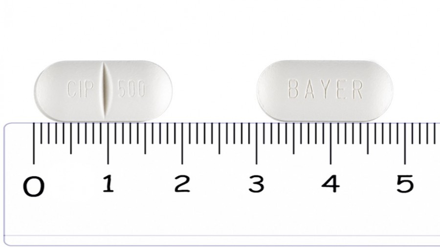 BAYCIP 500 mg COMPRIMIDOS RECUBIERTOS CON PELICULA , 14 comprimidos fotografía de la forma farmacéutica.