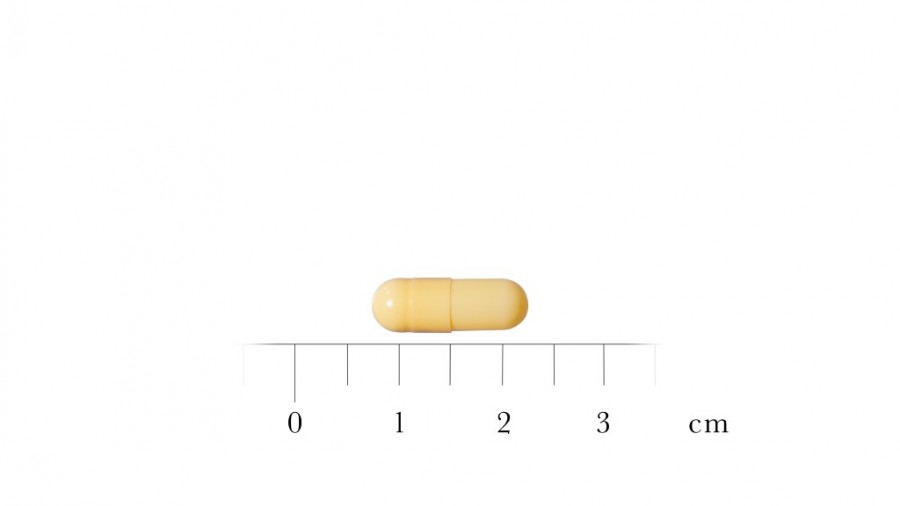 RIVASTIGMINA STADA 1,5 mg CAPSULAS DURAS EFG , 112 cápsulas (PVC/PVC/AL) fotografía de la forma farmacéutica.