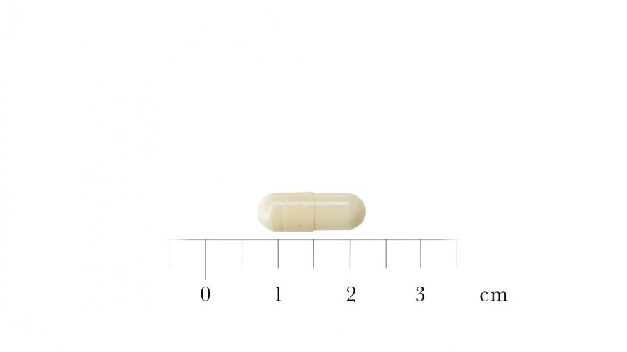 TACROLIMUS STADA 0,5 mg CAPSULAS DURAS EFG, 30 cápsulas fotografía de la forma farmacéutica.
